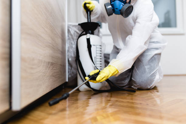 Best Commercial Pest Control Services  in Whitinsville, MA