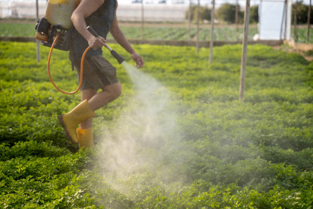 Best Pest Prevention Services  in Whitinsville, MA