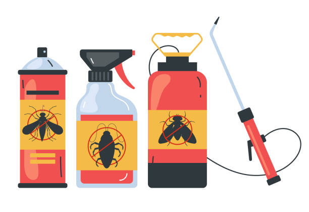 Wasp Removal Services in Whitinsville, MA