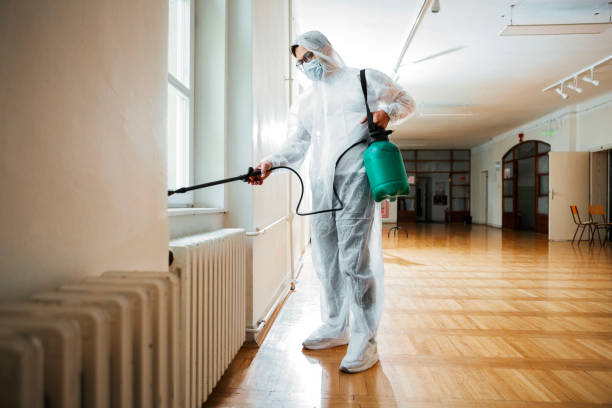 Best Affordable Pest Control Services  in Whitinsville, MA