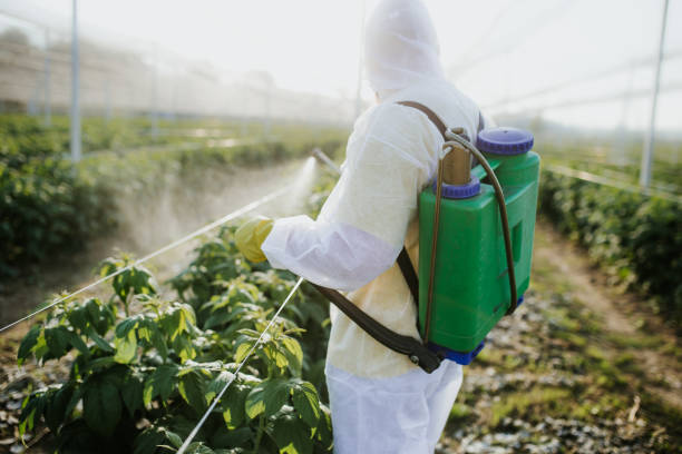 Best Mosquito Control Services  in Whitinsville, MA